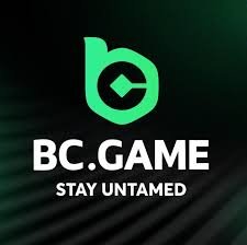 Revolutionizing Online Gaming The BC.Game Platform